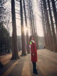 Nami Island 