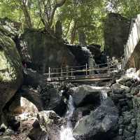 【圧巻！】福岡の南蔵院