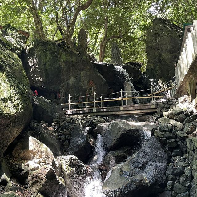 【圧巻！】福岡の南蔵院