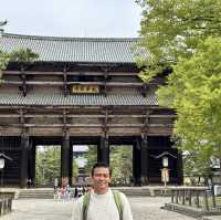 Deer Encounters and Temple Wonders: My Nara Park Adventure!