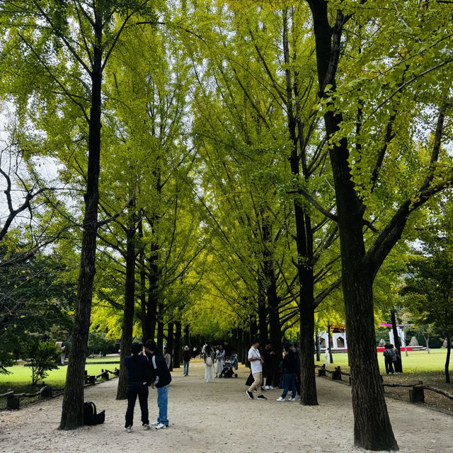 Nami Island 🤗
