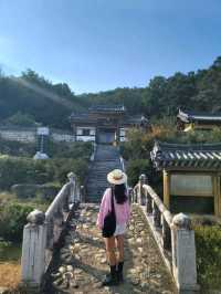서원이 한옥카페로 변신한 역대급 감성나들이🧡