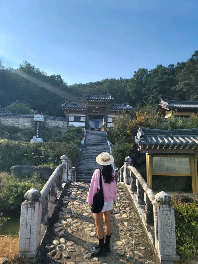 서원이 한옥카페로 변신한 역대급 감성나들이🧡