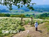 【宮城】ざおうハーブ🌿