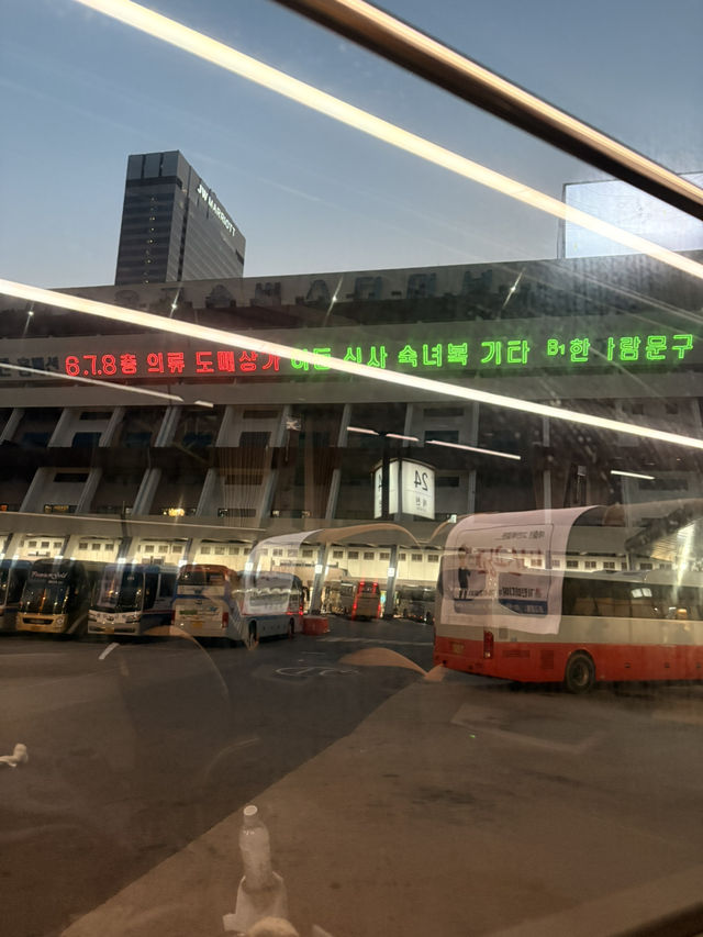 友達と1泊2日강릉trip &1人で4泊5日서울trip🍀