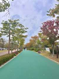 매일 산책하고 싶은 장소인 청라호수공원🌳💚