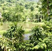 Camping in the Wild Jungle of Phuket 