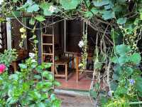 Om garden cafe in Pai