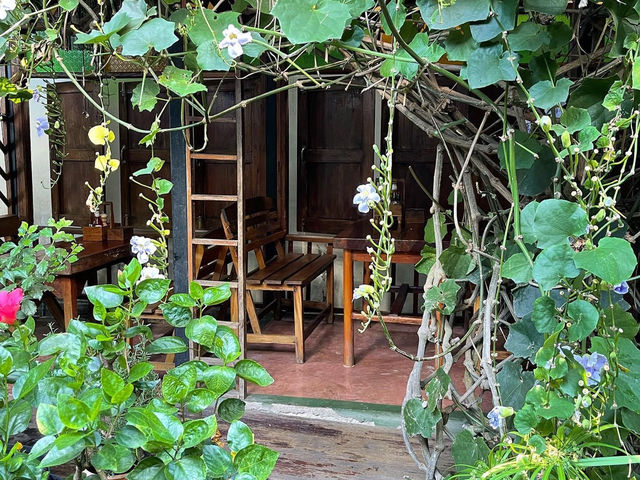 Om garden cafe in Pai