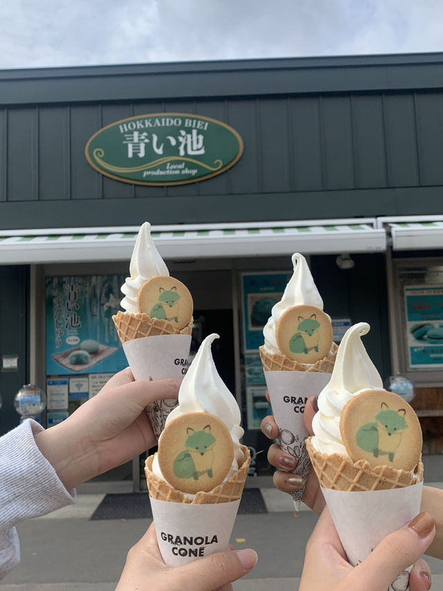 北海道　札幌〜美瑛の旅行プラン！