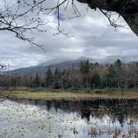 Rewarding sights at Shiretoko Five Lakes morning walk late autumn