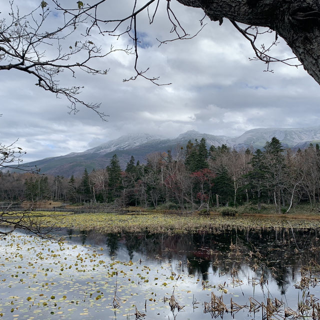 Rewarding sights at Shiretoko Five Lakes morning walk late autumn