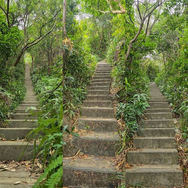青衣無敵景觀郊遊路線😎