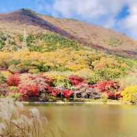 Relaxing retreat at Jinhae NFRDI Environment Eco-Park