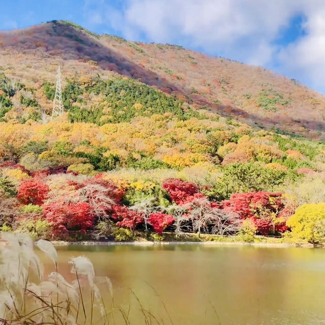 Relaxing retreat at Jinhae NFRDI Environment Eco-Park