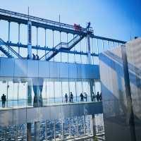 Sky-High Cityscapes: My Thrilling Adventure at Abeno Harukas!