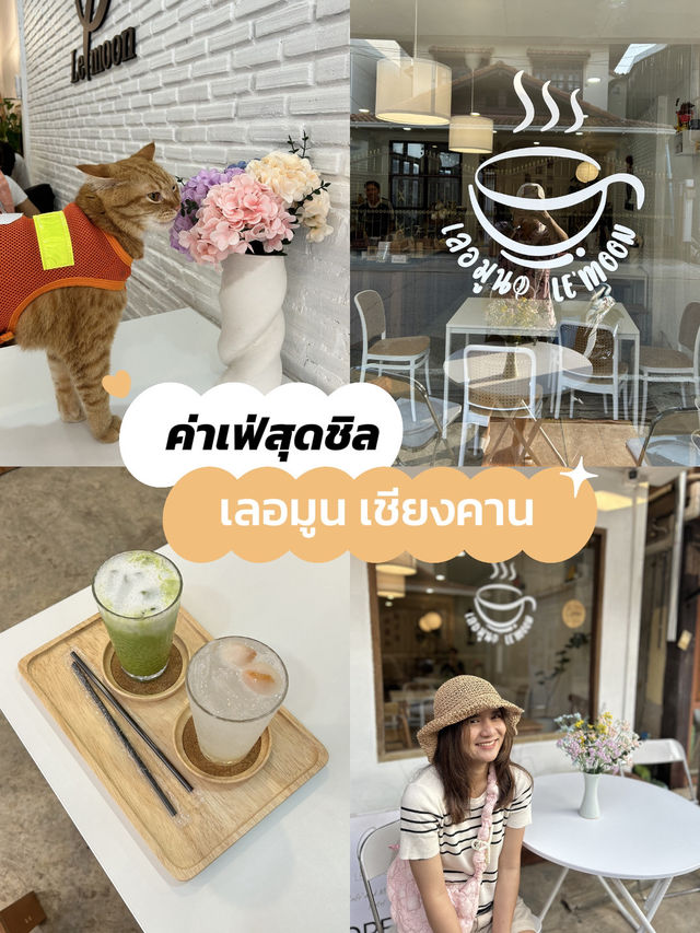 ค่าเฟ่สุดชิลเลอมูน เชียงคาน