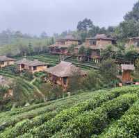 lee Wine Rak Thai 