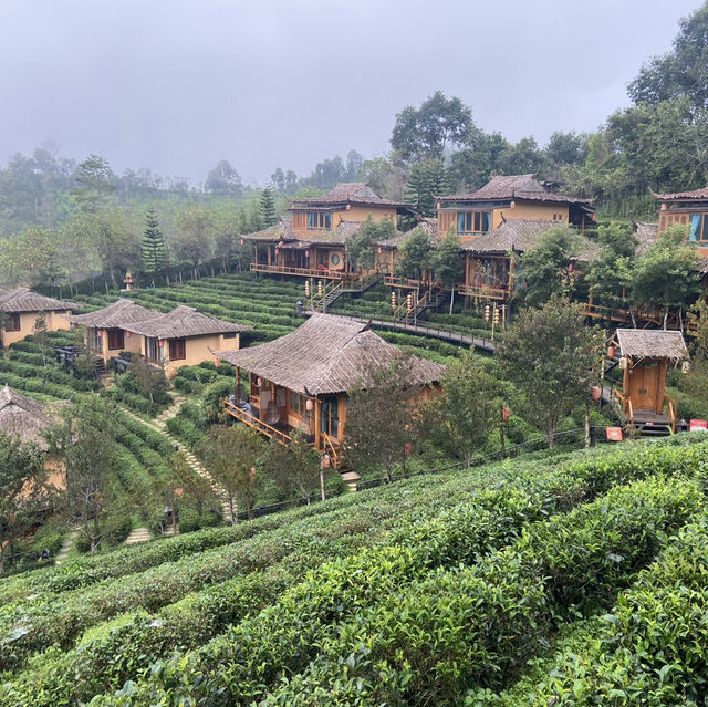 lee Wine Rak Thai 