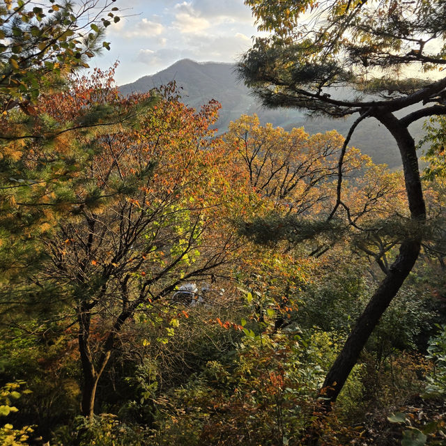 🍁🍂가을을 온전하게 느낄 수 있는 화담숲🍁🍂