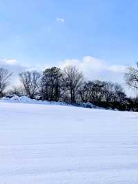 새하얗고 광활한 ❄️겨울 눈의 감성을 느낄수 있는 ☃️ 당진 겨울여행지 