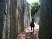 Fort Canning Tree Tunnel. เที่ยวสิงคโปร์