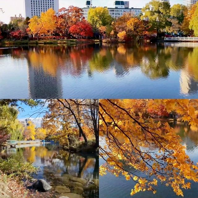 中島公園美景
