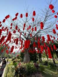 蓮花山公園-深圳市區最受歡迎公園，豐富的生態環境和多樣的景觀