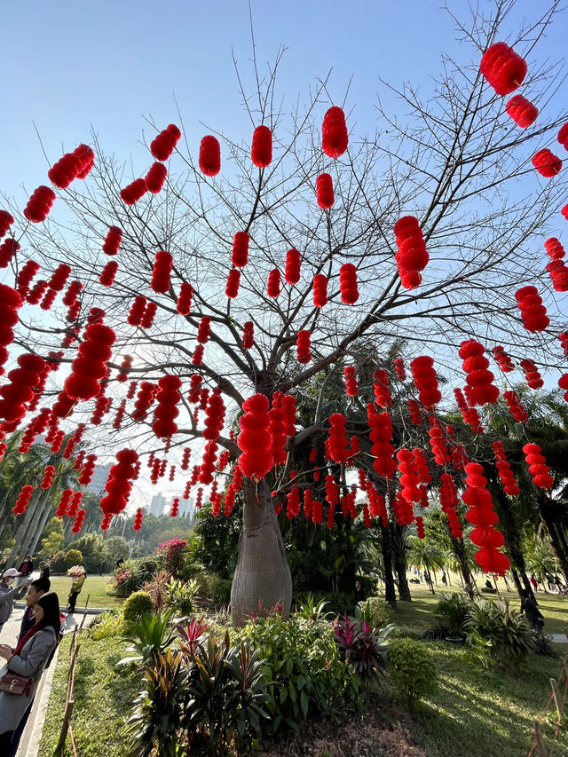 蓮花山公園-深圳市區最受歡迎公園，豐富的生態環境和多樣的景觀