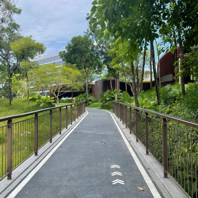 芳林公園：自然樂園 🌼🐦