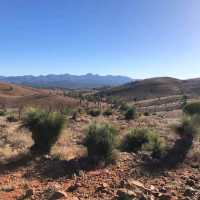 Flinders Ranges, South Australia