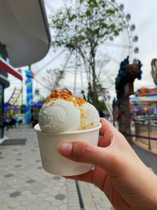 코코넛에 관한 모든 것 🥥🌴
