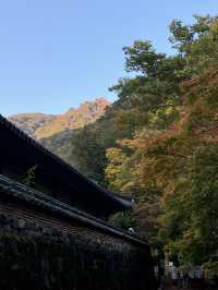 단풍명소 - 내장산 🏞️