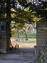 景點推薦：清澄庭園——都市中的靜謐湖景