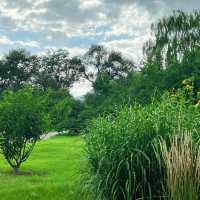 花柏山公園：悠閒秘境 🌳🌼