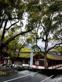 ไปขอพรเรื่องเรียนที่ Dazaifu Tenmangu