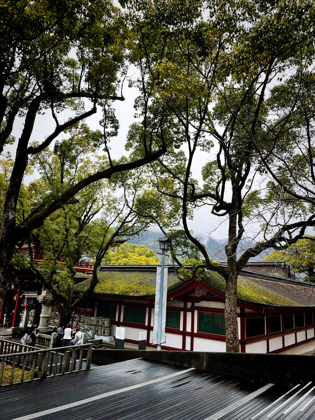 ไปขอพรเรื่องเรียนที่ Dazaifu Tenmangu