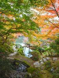 【滋賀】湖東三山最古のお寺で絶景紅葉