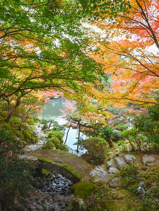 【滋賀】湖東三山最古のお寺で絶景紅葉
