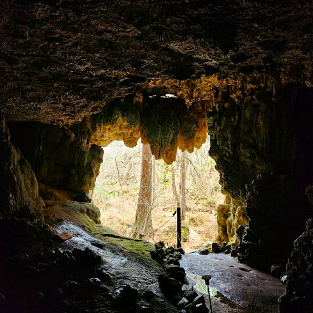 @ WESTCAVE OUTDOOR DISCOVERY CENTER.