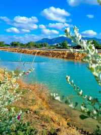 PICTURESQUE SEAVERSE CAFE AND RESTAURANT 