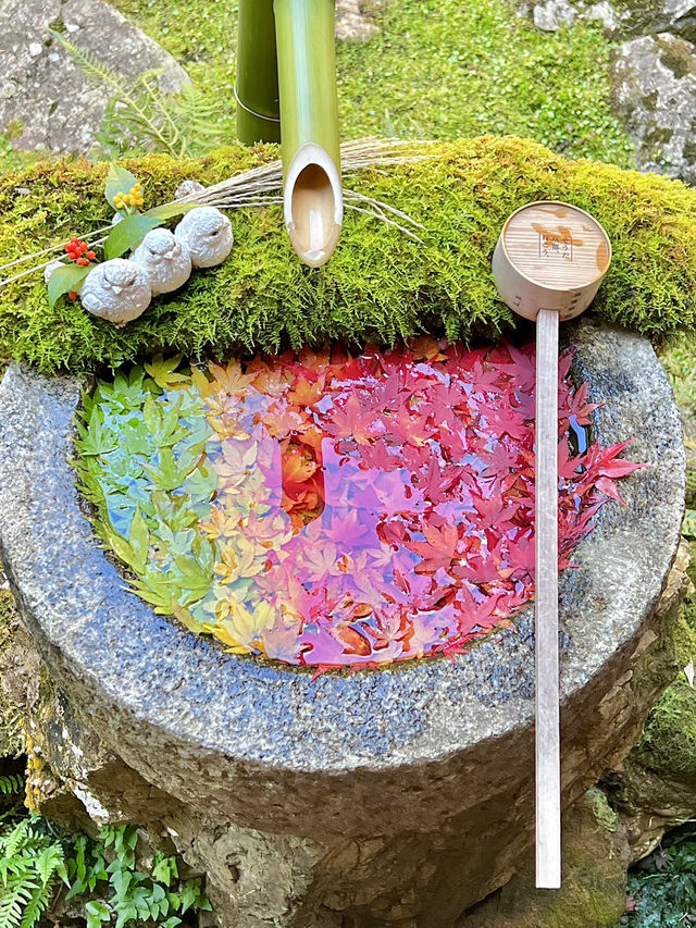 京都 ❤︎ 紅葉のリフレクションが素敵🍁✨秋のおすすめスポット❤︎