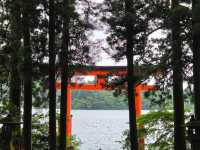 🇯🇵【神奈川県】最強パワースポット！箱根神社！⛩️