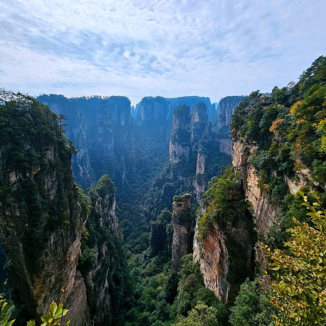 Zhangjiajie National Park: A Two-Day Nature Escape