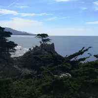 Discover the Splendid View of 17 miles drive at California