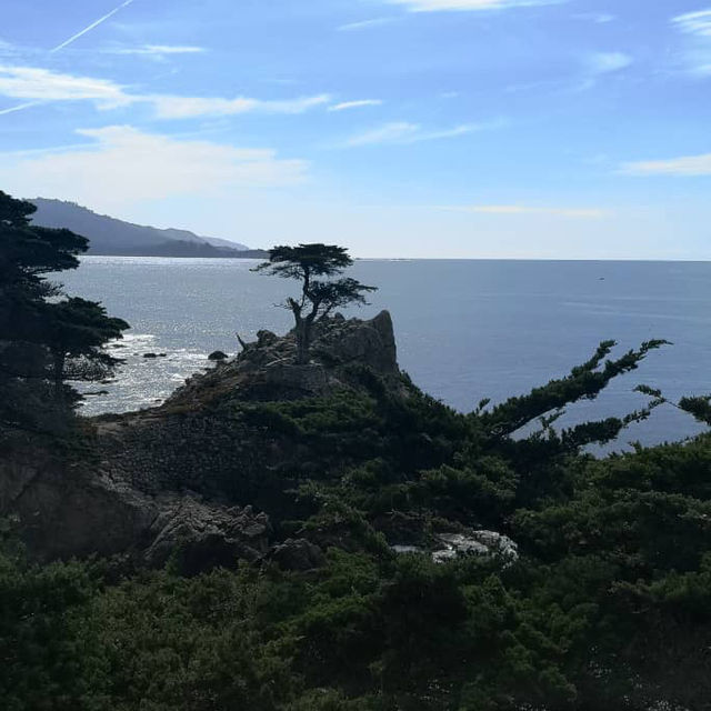 Discover the Splendid View of 17 miles drive at California