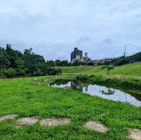 台北最佳親水步道：內湖大溝溪生態治水園區