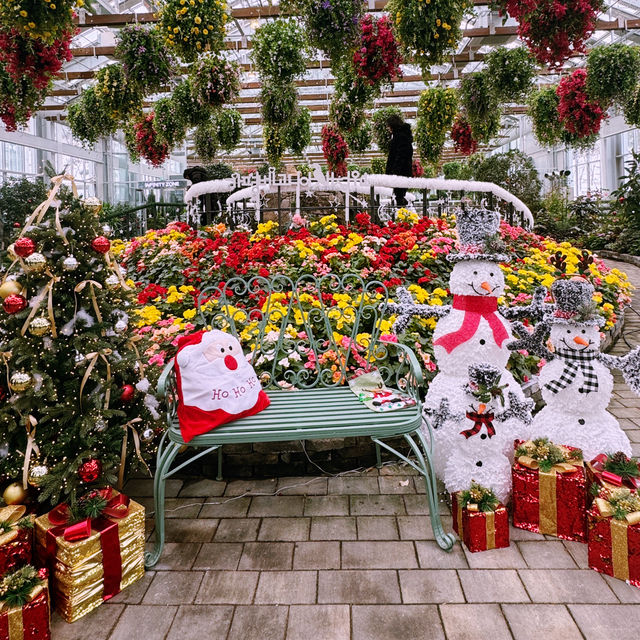 A Winter Wonderland at Gapyeong Begonia Bird Park!