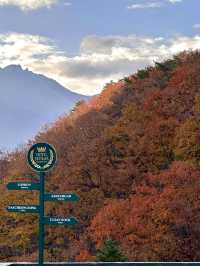 가을 설악산에 내려앉은 빨간 단풍이불 🍂🍁