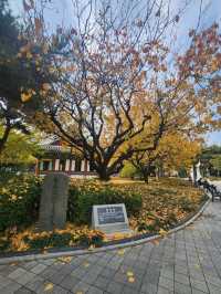 여유로움이 느껴지는 대구 히든 플레이스 경상감영공원🌿